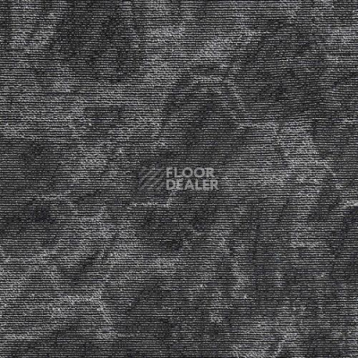 Ковровая плитка Balance Spectrum Balance Spectrum 04 фото 1 | FLOORDEALER